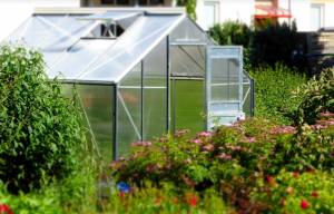 Comment rénover une serre de jardin ?