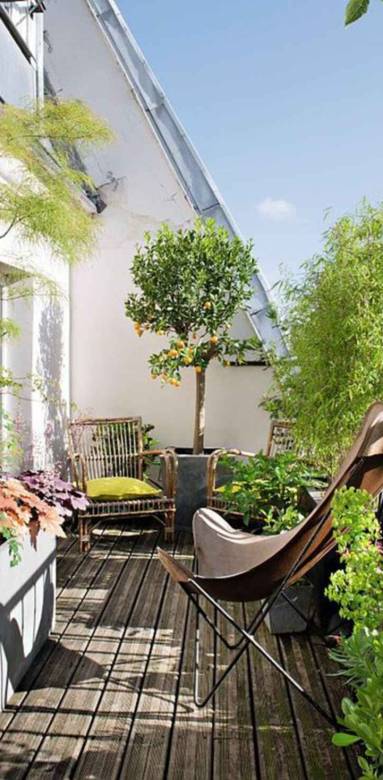 transformer son balcon en mini-jardin