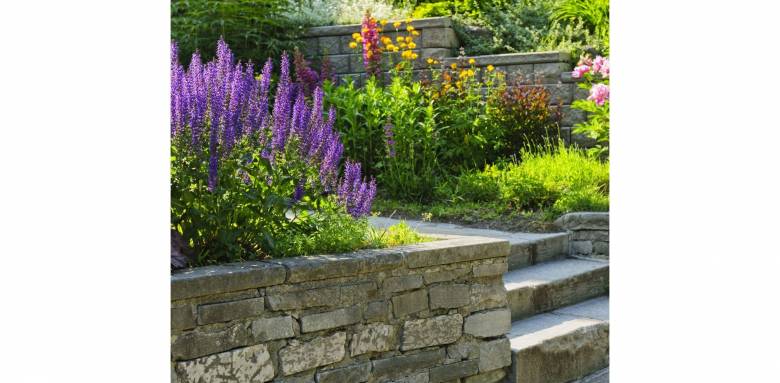 Escaladez les Possibilités : Les Avantages de l'Aménagement d'un Jardin en Pente – Coutances 50200