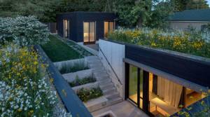 Toiture terrasse végétalisée