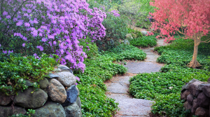 Aménagement de jardin à Dijon