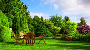 Rénovation de jardin à Deauville ou Cabourg