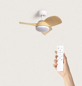 Ventilateur de plafond moderne et pratique