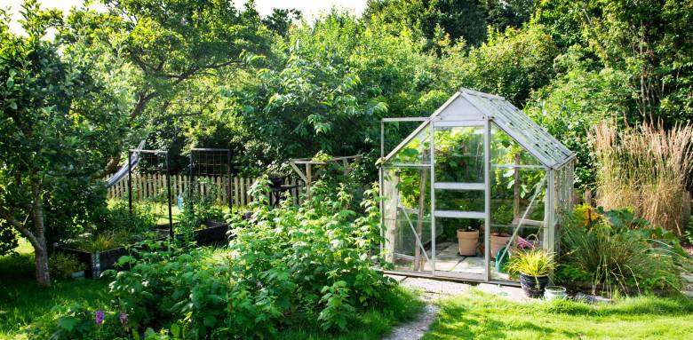 Aménager une serre de jardin 