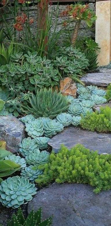 Allée de jardin végétalisée - Nantes 44