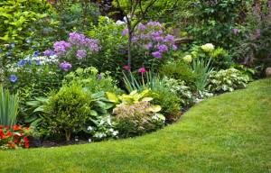 massifs fleurs jardin