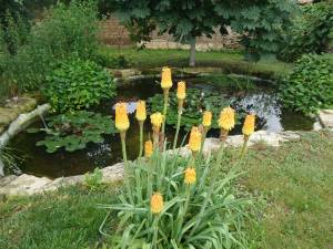 oasis jardin landerneau