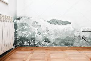 Mur humide à Bayonne : pourquoi le problème revient-il toujours ?