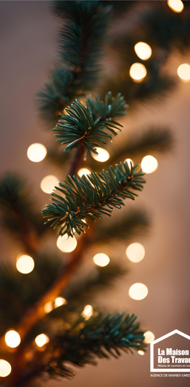 guirlande lumineuse branche sapin
