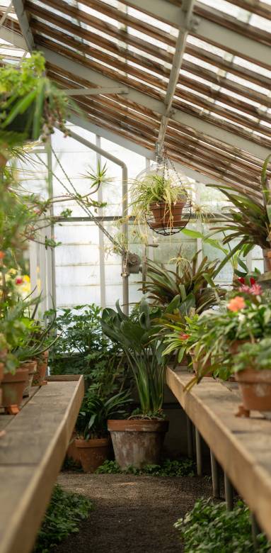 Véranda jardin d'hiver