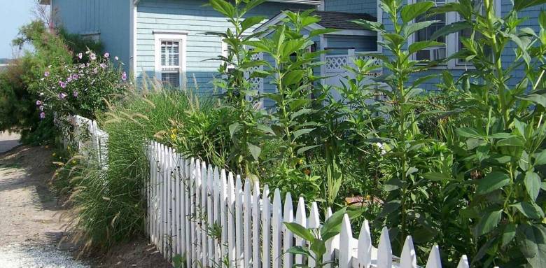 Palissades, claustras : Quelle clôture pour protéger mon jardin des voisins ? Bréhal 50290