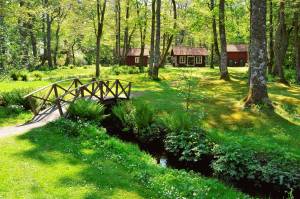 Jardin