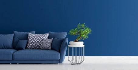 Sous l'influence des bleus...