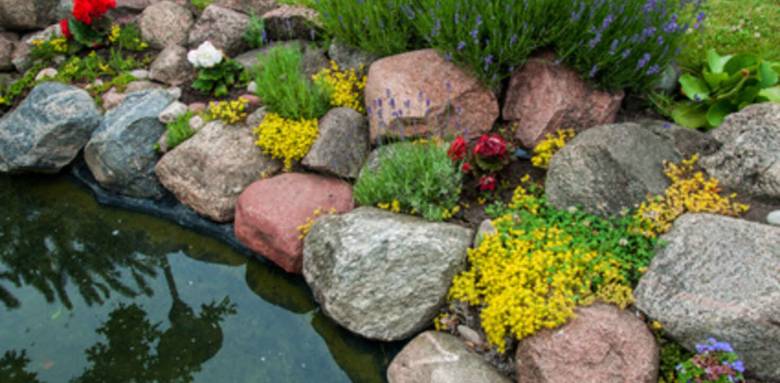 Aménager un bassin dans un jardin à Vertou