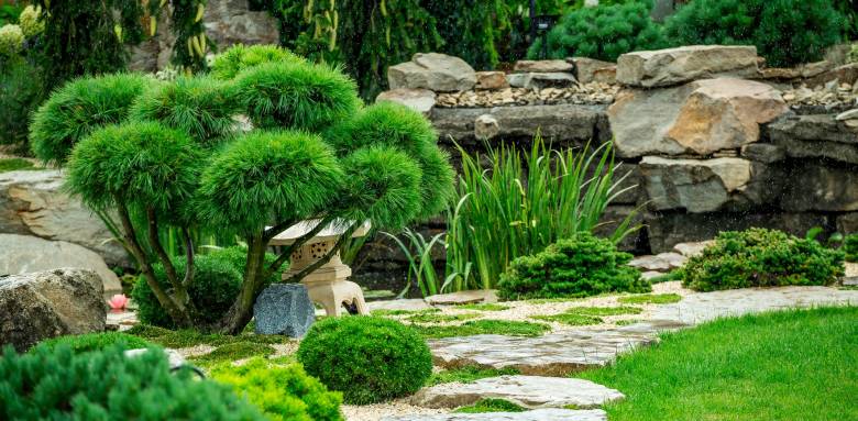 jardin japonais Salon-de-Provence