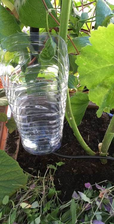 Système de gouttes à gouttes pour arrosage