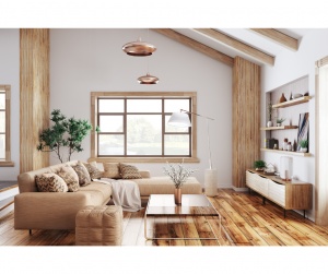 Plafond cathédrale maison Haguenau