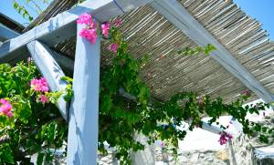 Une pergola en bois avec des canisses