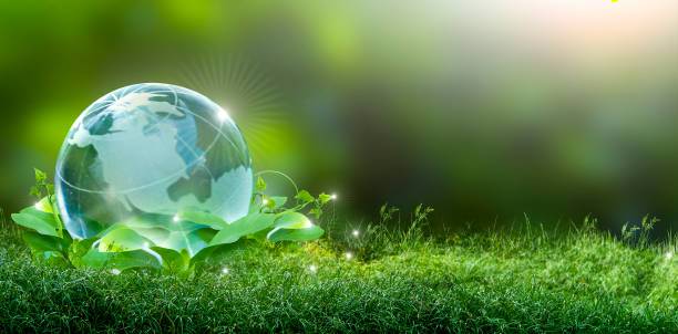 Préservons notre environnement...