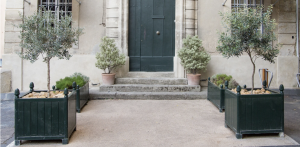 amenager-allee-entree-maison-albi