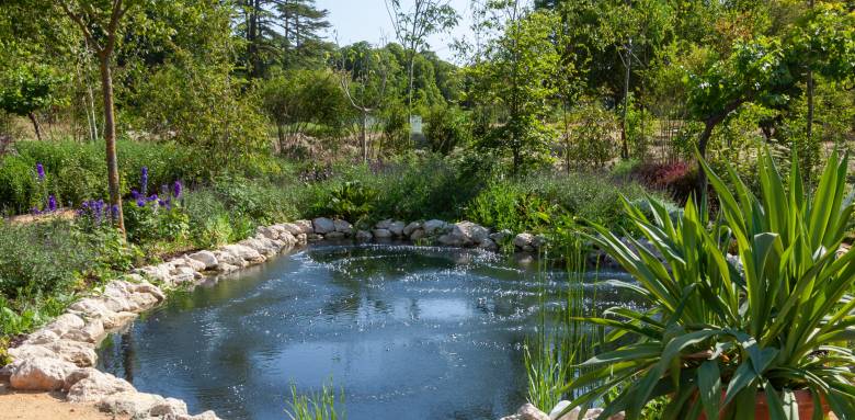 Une oasis en Indre-et-Loire.