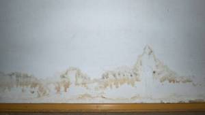 Rénovation d'un mur humide à Bayonne