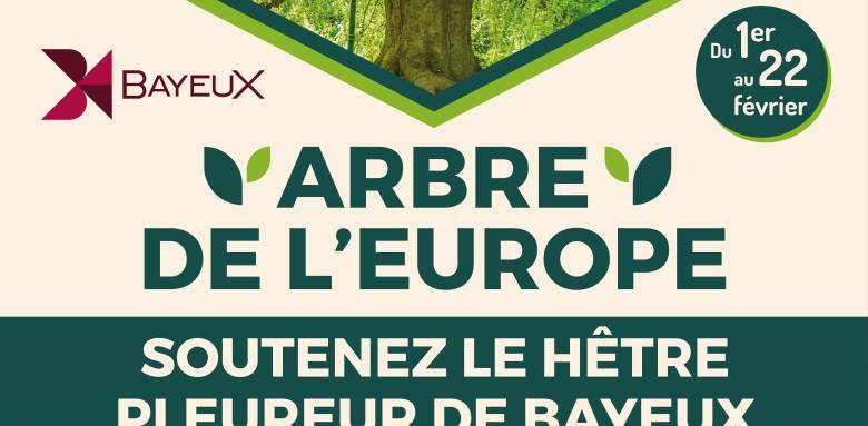 l'Arbre européen de l'année 2024