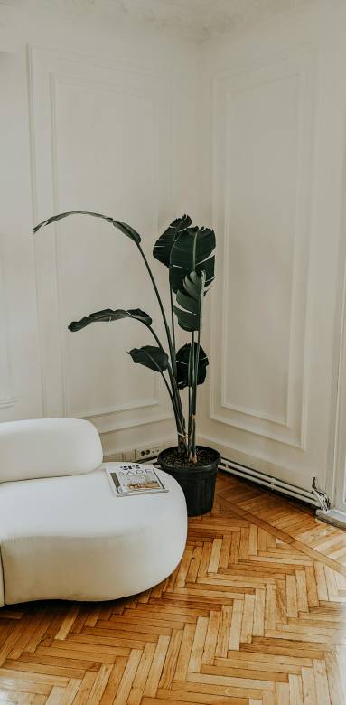 Un salon tout en apaisement à Versailles