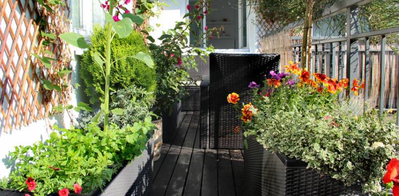 potager balcon