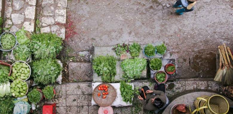 potager urbain