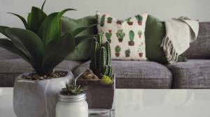 Avoir un petit salon - Canchy 14230