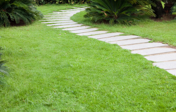 Allée de jardin Nantes Nord