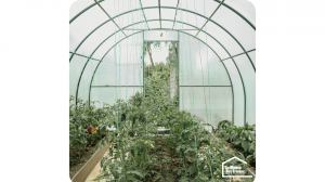 Rénover une serre de jardin - Fontenay-le-Pesnel 14250