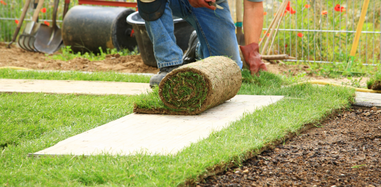 aménagement d'allée