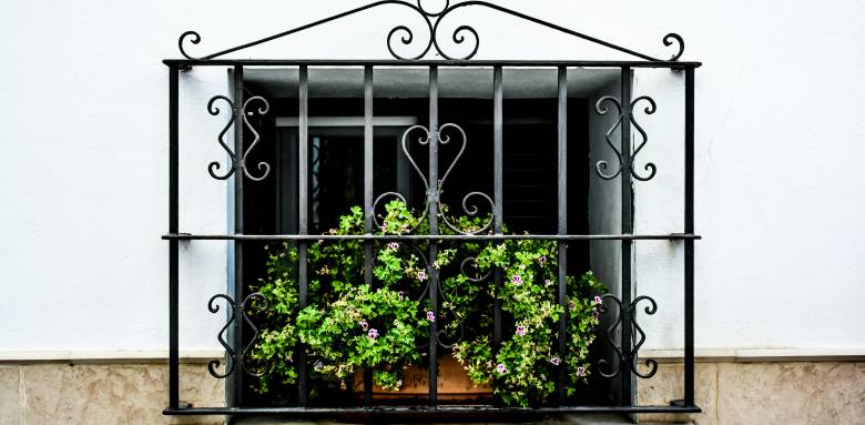 Plante Dax-sud-Landes