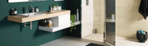 douche et lavabo adaptés ( CEDEO)