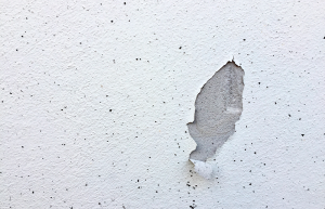 Lutter contre l'humidité des murs