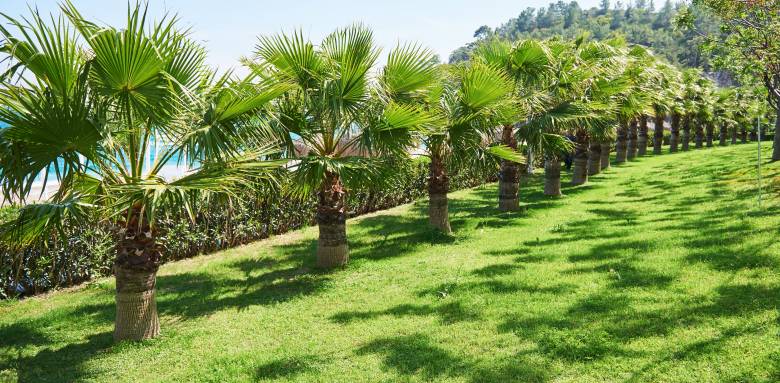 Aménagement d'un jardin en pente - Valence 26