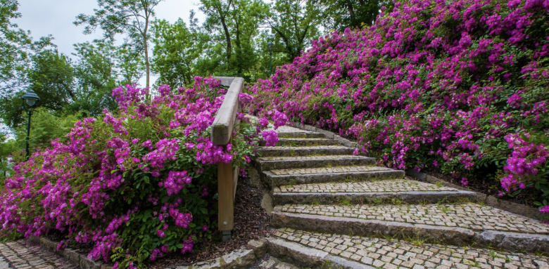 creer-allee-jardin-albi
