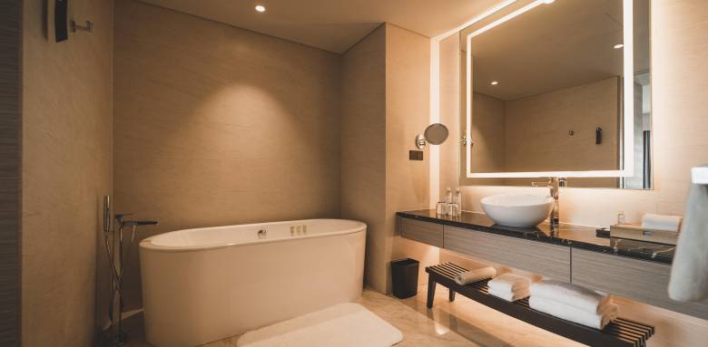 separer-toilette-salle-de-bain-albi