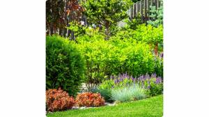 Préparer sa maison pour le printemps : les travaux à anticiper pour éviter les mauvaises surprises - 14770 Terres de Druance