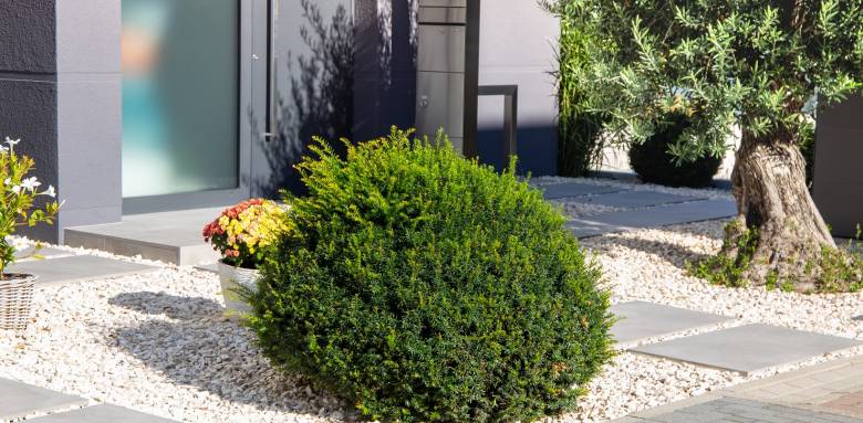 Aménagement de jardin épuré supportant la sécheresse