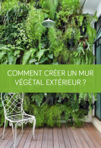 Comment créer un mur végétal extérieur ?
