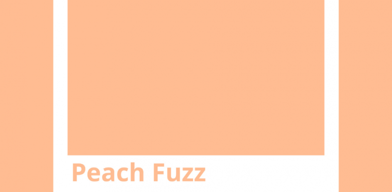 Décoration intérieure Arras