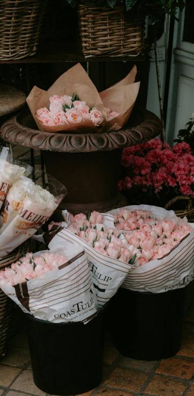 printemps 