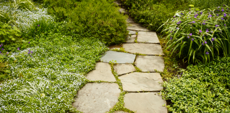 Matériaux allée de jardin Chenôve