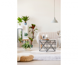 Conseils déco intérieure Haguenau