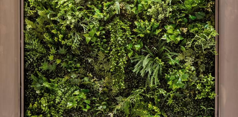 Mur végétal chez soi