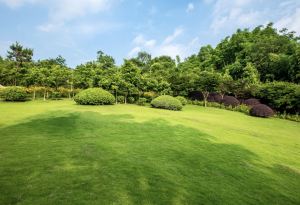 renover-jardin-castres