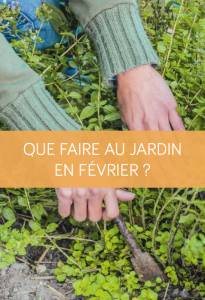 Que faire au jardin en février ? La Maison des Travaux Vannes Sarzeau Pénestin